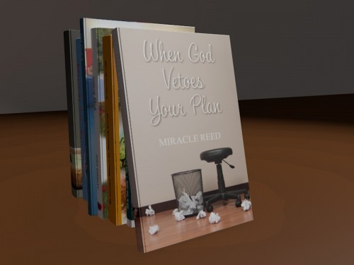 Miracle Reed - When God Vetoes Your Plan - Book Cover